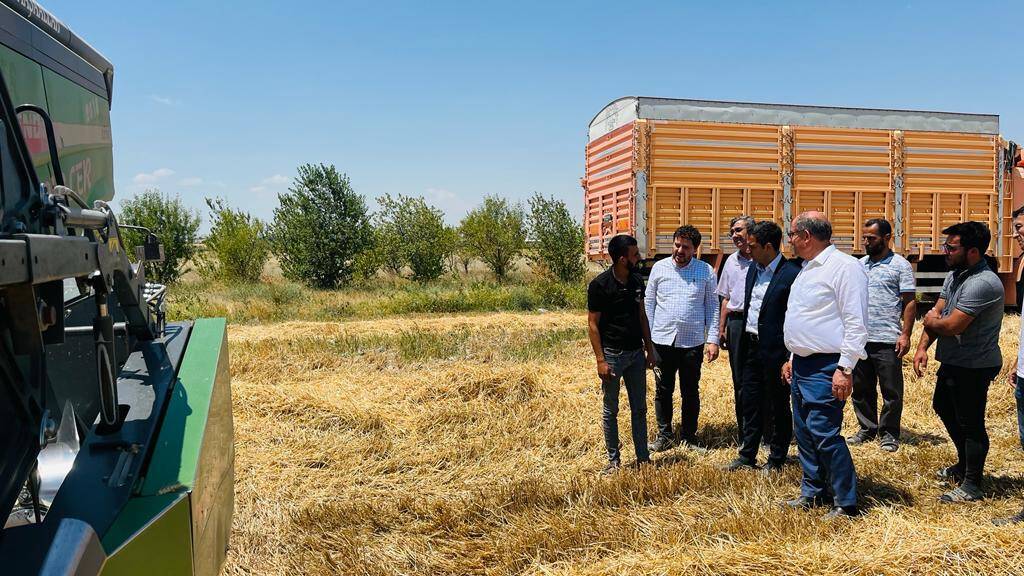 Karapınar'daki tarım uygulama sahasında hasat heyecanı
