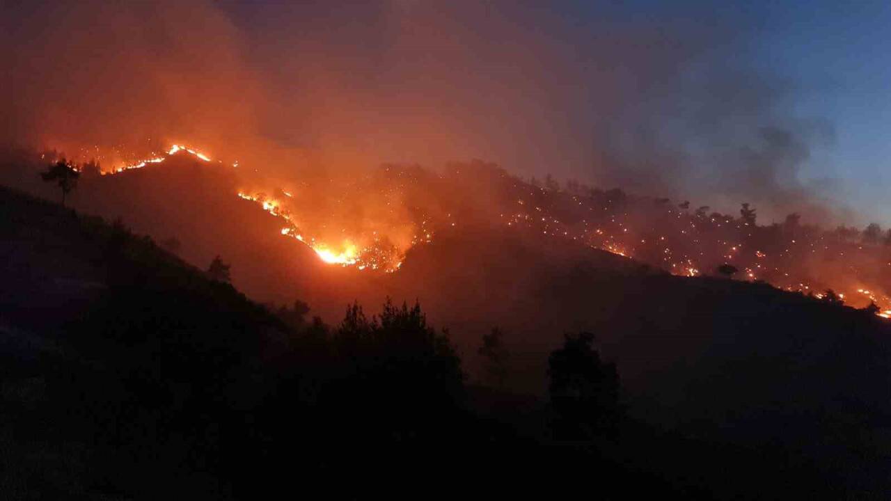 Kahramanmaraş’ta orman yangınına müdahale sürüyor