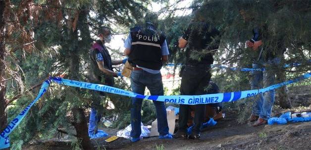 Şanlıurfa'da kadın cesedi bulundu