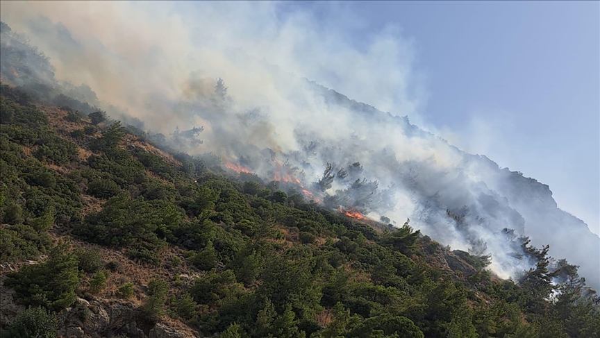 Aydın'ın Söke ilçesinde orman ve makilik alanda yangın