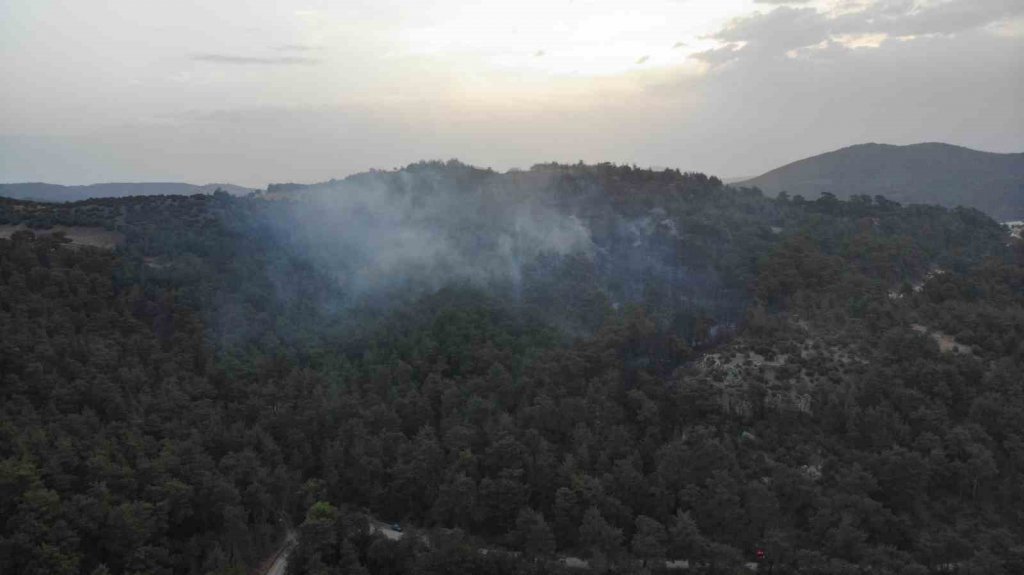 Çanakkale’deki orman yangınına hava müdahalesi başladı