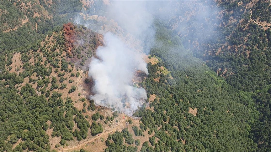 Manisa'da orman yangını çıktı