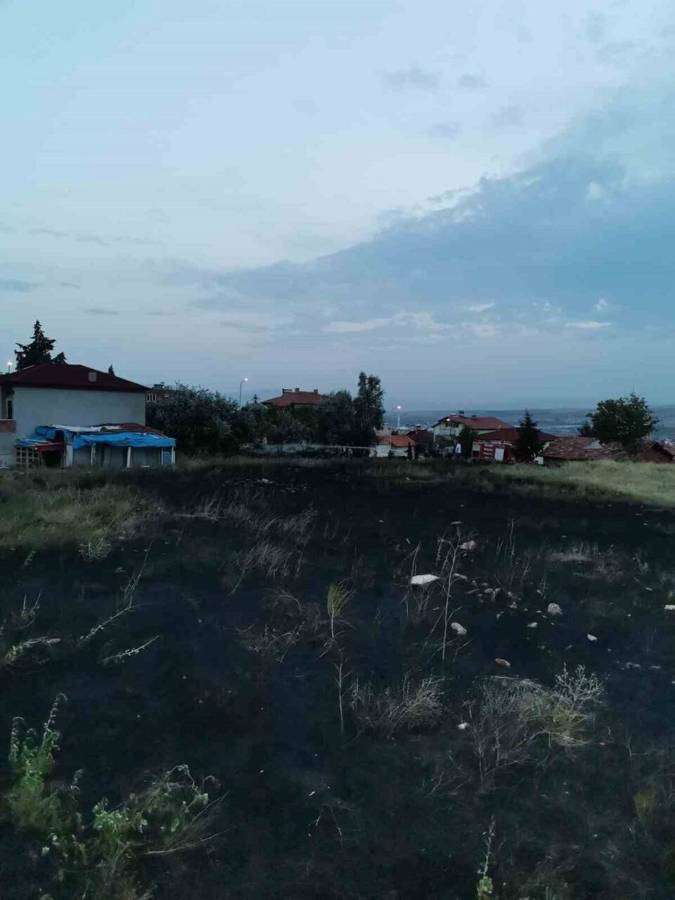 Otluk alanda başlayan yangın söndürüldü