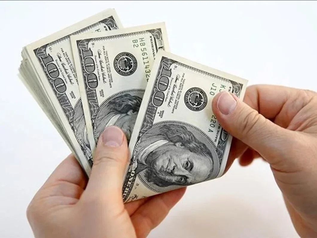 Serbest piyasada döviz açılış  fiyatları