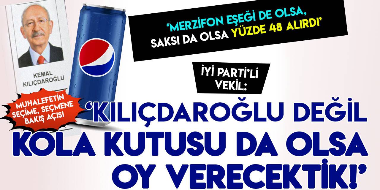 İP'li vekil: "Kola kutusu da konulsa biz destekleyecektik"