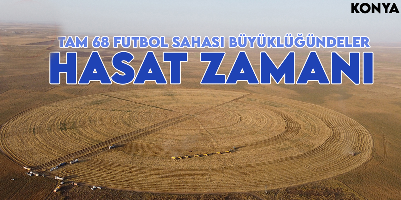 Konya'da 68 futbol sahası büyüklüğündeki 7çember tarlada hasat zamanı