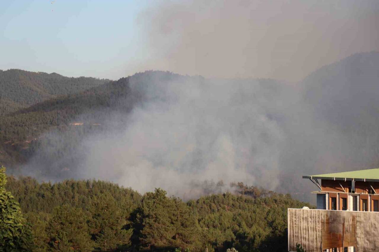 Sakarya’daki orman yangını kontrol altına alındı