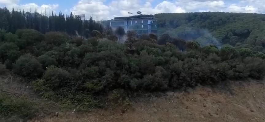 Kağıthane'de orman yangını