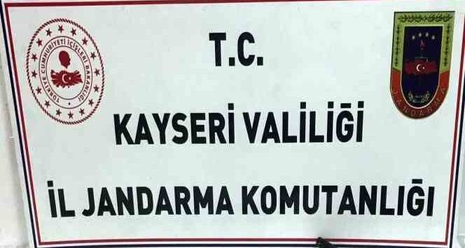 Bahçesinde kenevir yetiştiren şahıs jandarmadan kaçamadı