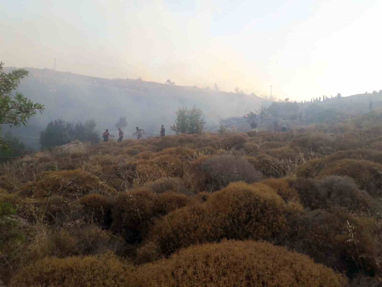 Türkbükü yangını kontrol altına alındı