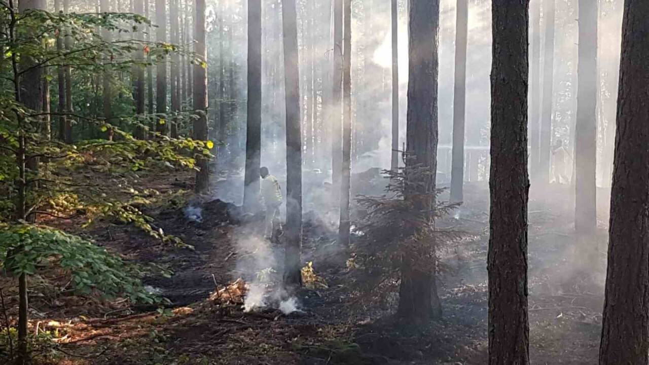 Orman yangını kontrol altına alındı