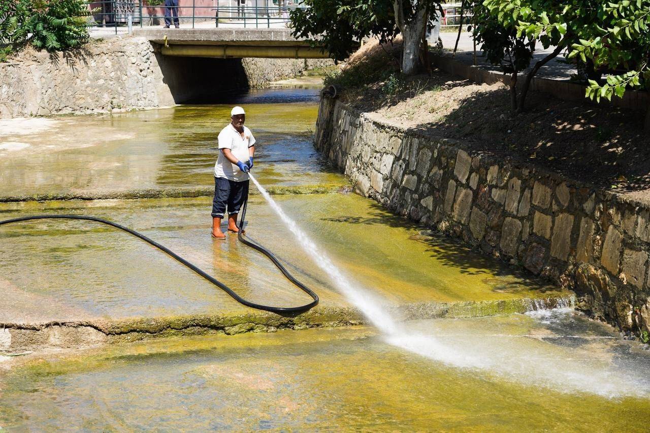 Dalakdere temizlenince 40 yıl önce görülen balıklar yine görülmeye başlandı