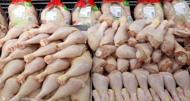 Tüketilen tavuklarda Salmonella bakterisi riski