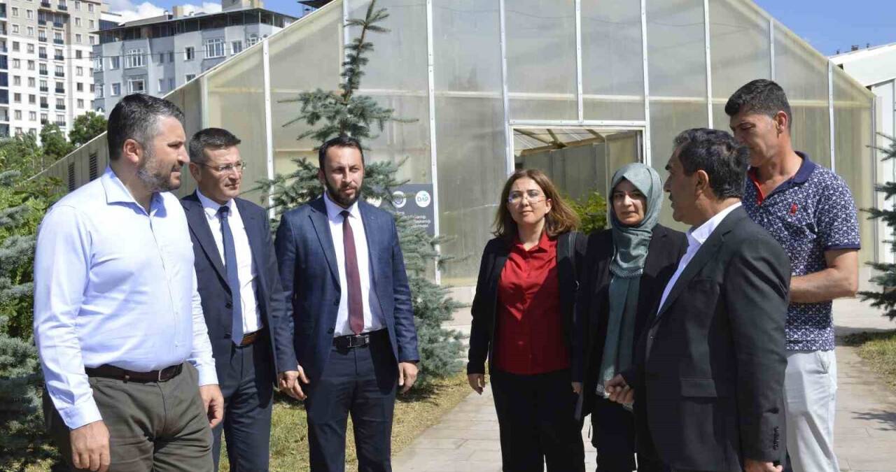 Bakan Yardımcısı İnan, bölgesel kalkınma için DAP’ta