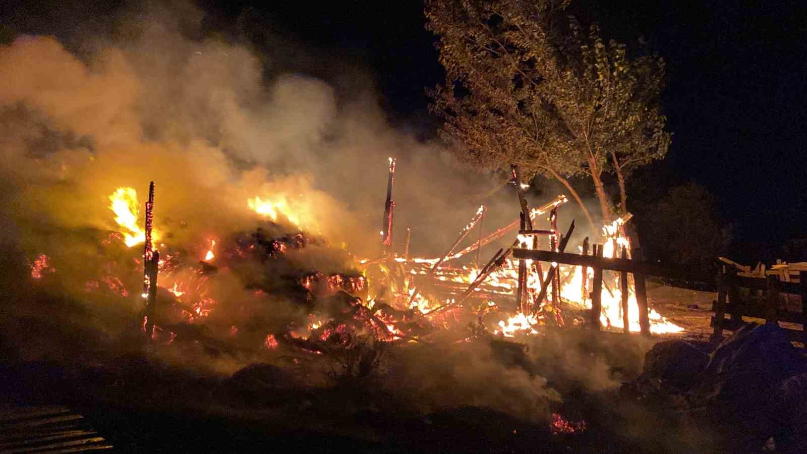 Çiftlik yangınında binlercesi yandı
