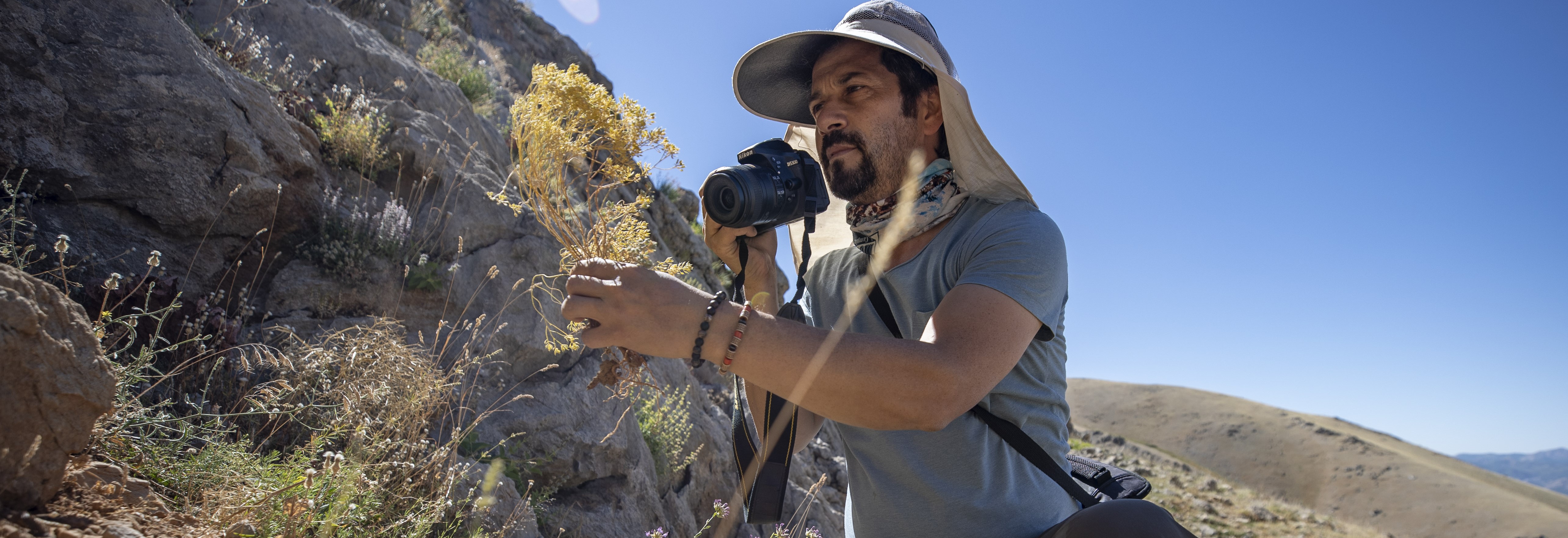 Konyalı akademisyen Tunceli dağlarında endemik bitkilerin izini sürüyor