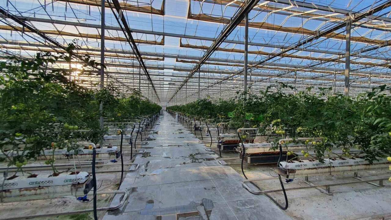 Jeotermal Enerji Derneği Yönetim Kurulu Başkanı Kındap: “Anadolu bir jeotermal cennetidir”