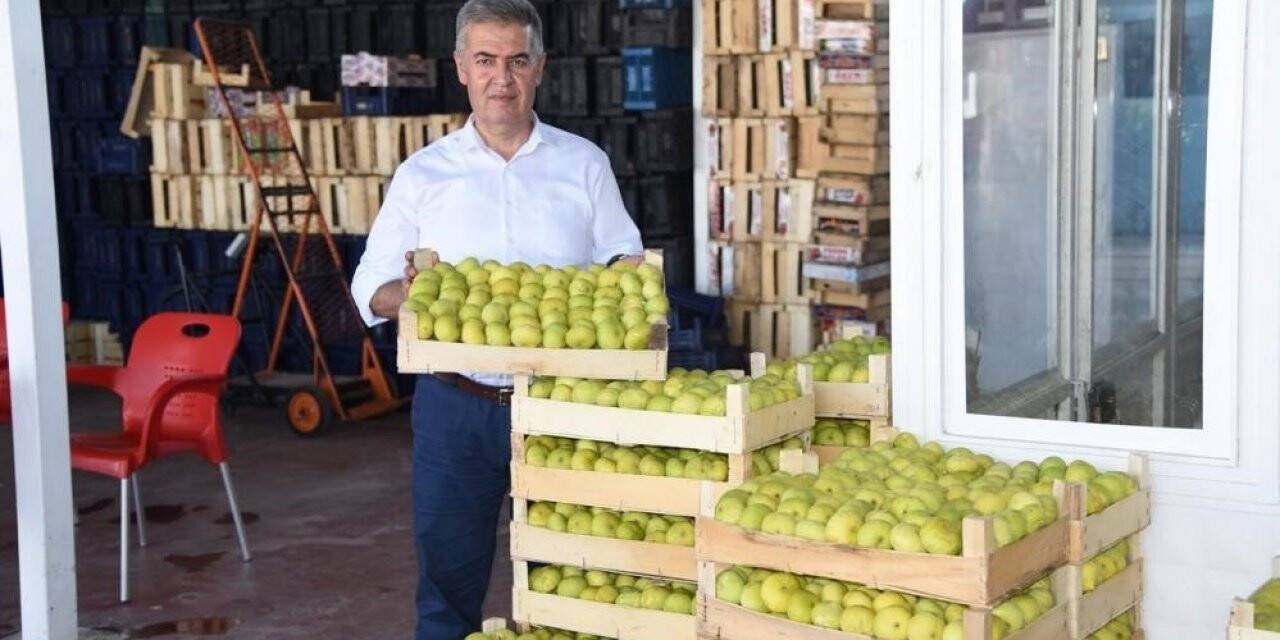 Aydın’ın milli meyvesi İncir, Avrupa’nın gözde meyvesi oldu