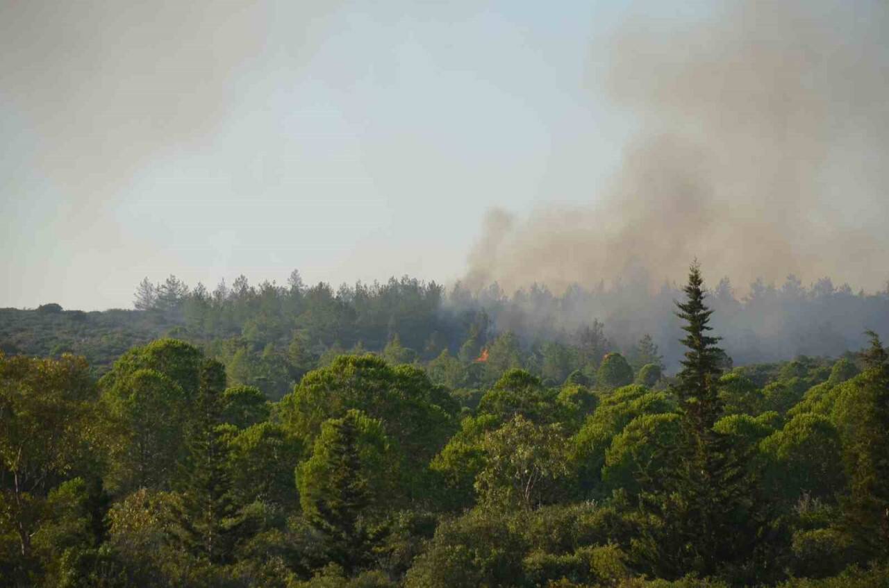 Didim’deki yangın kontrol altına alındı