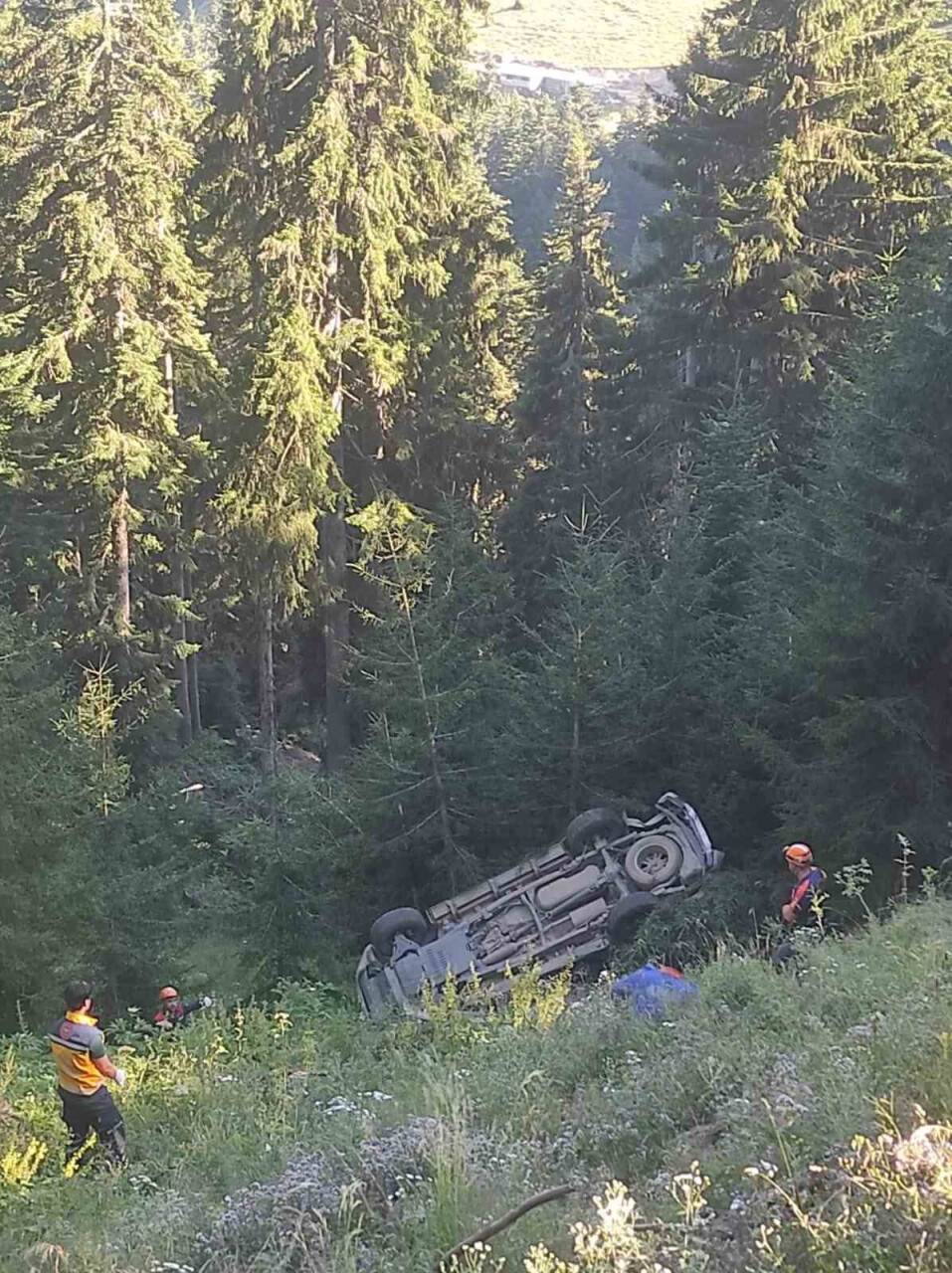 Yamaçtan yuvarlanan ağaç kamyonete çarptı