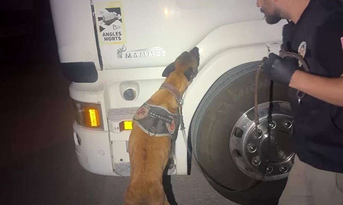 Tır içerisinde zulalanmış uyuşturucu ele geçirildi