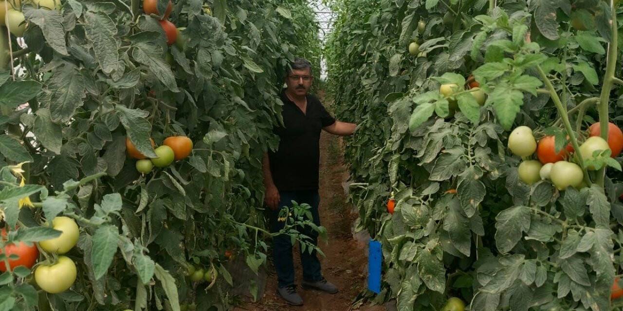 En kurak ilçede bu yöntemle en yüksek verimi elde ettiler