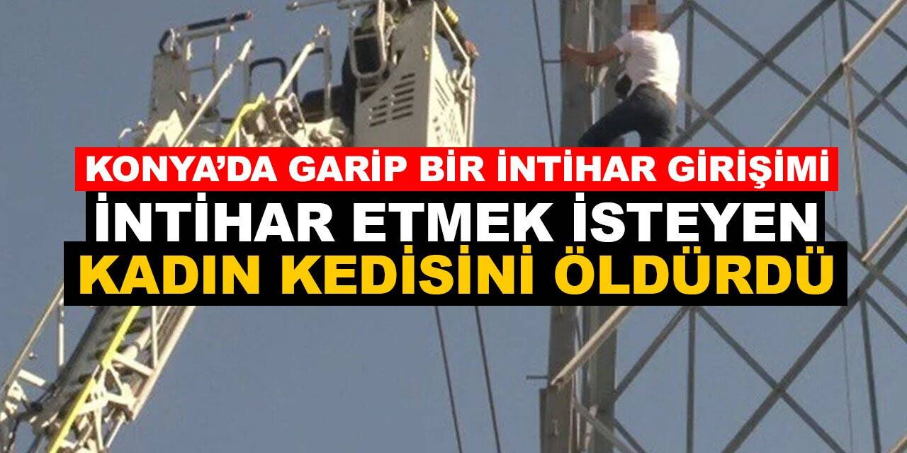 Konya'da intihar etmek için direğe çıkan kadın kedisini öldürdü