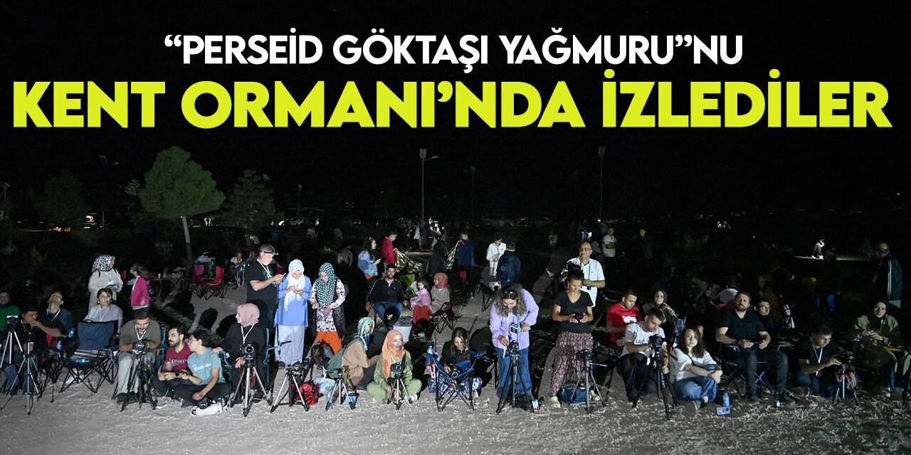 KOMEK'in Fotoğraf Atölyesi kursiyerleri “Perseid Göktaşı Yağmuru”nu Kent Ormanı’nda izledi