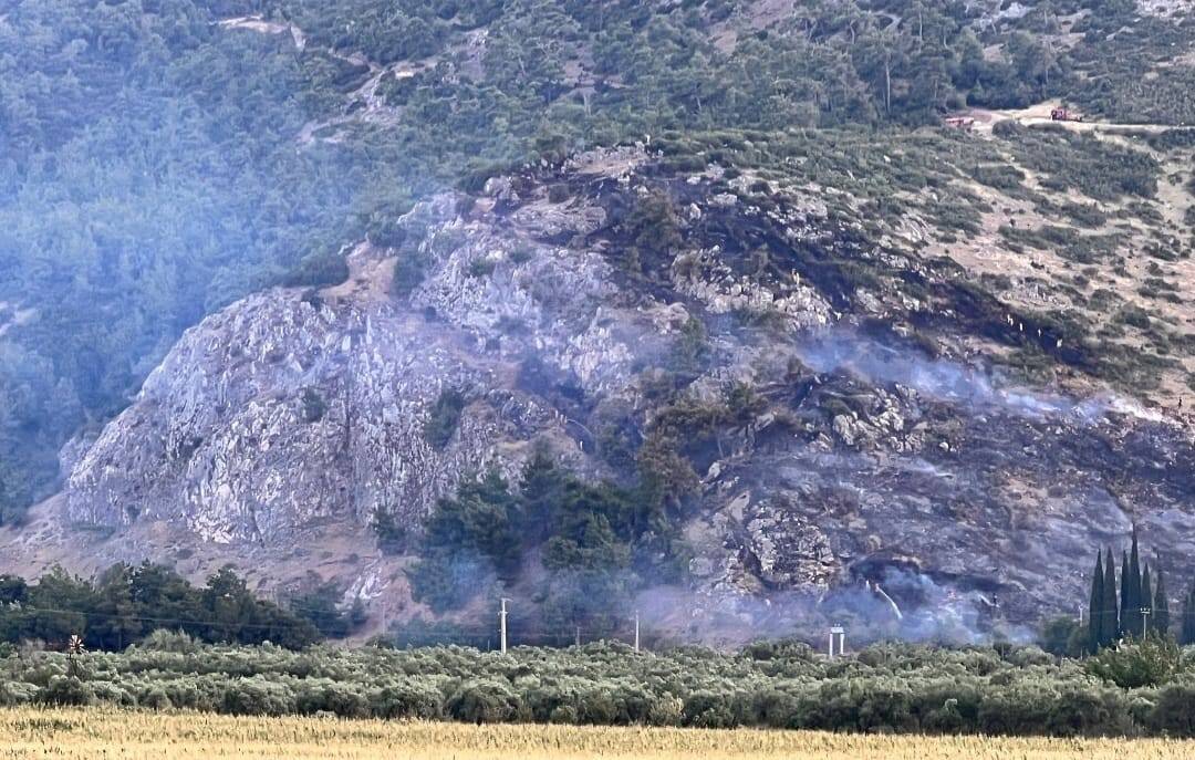 Manisa’da orman yangını kontrol altına aldı
