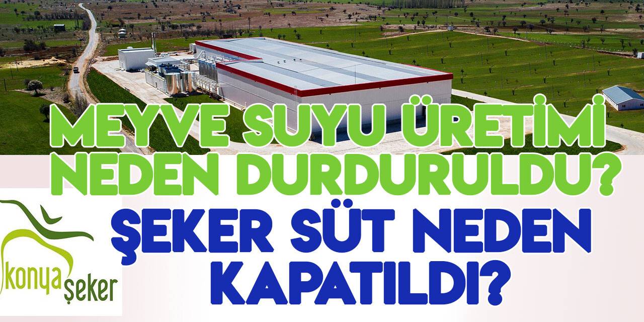 Konya Şeker o fabrikaları neden kapattı? Dikilen ağaçlar neden sulanmıyor?