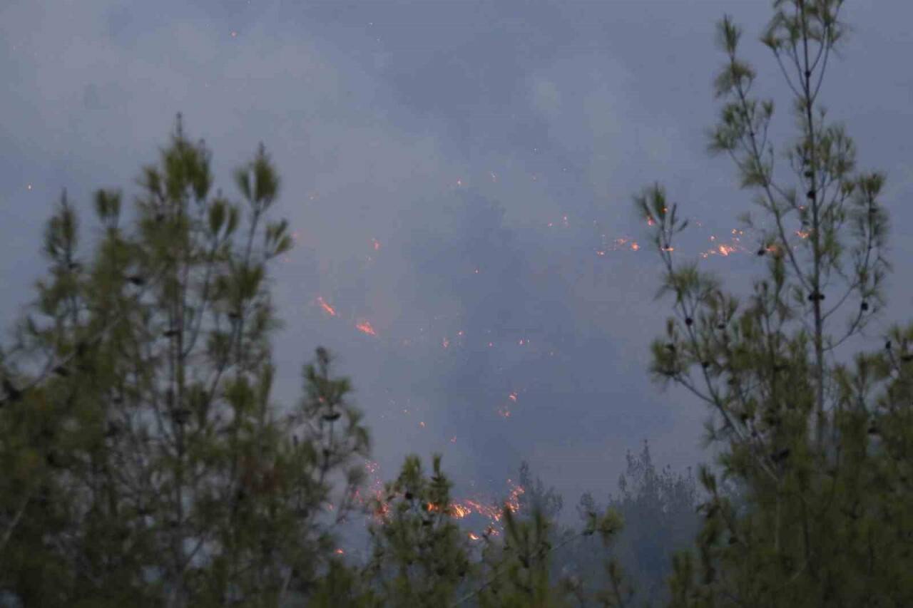 Orman yangını devam ediyor