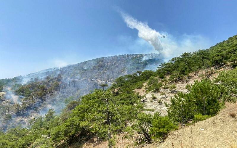 Bolu’da orman yangını devam ediyor