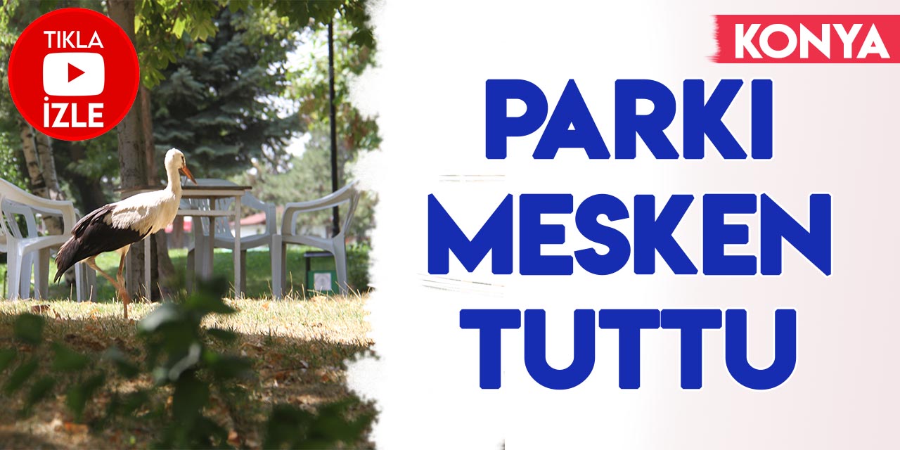 Konya'da mesken tuttuğu parkın maskotu haline gelen leylek ilgi odağı