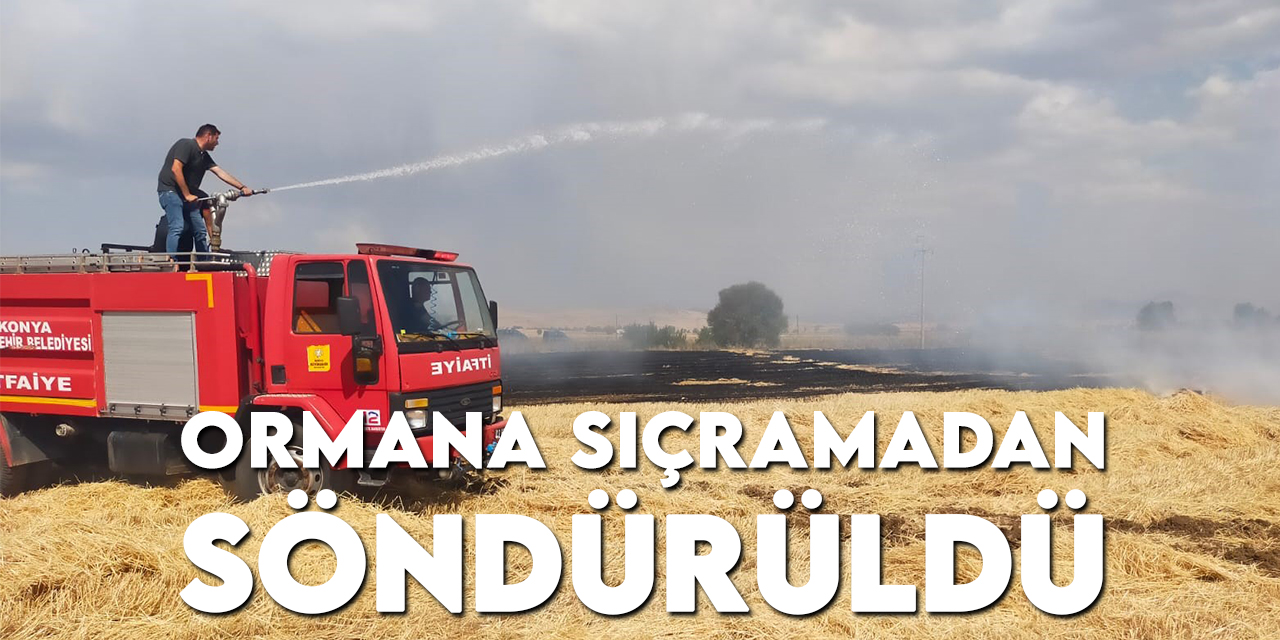 Konya'da yangın! Evler ve ormanlık alana sıçramadan söndürüldü