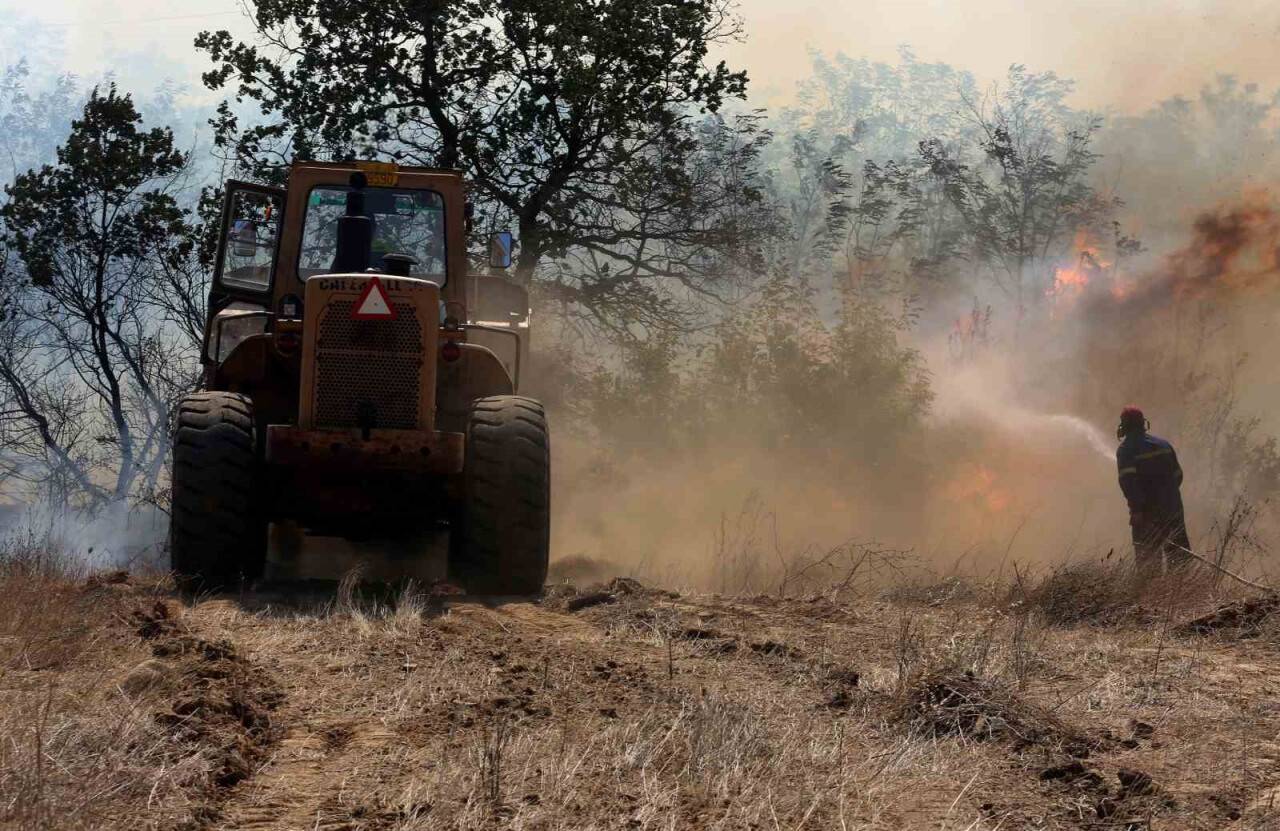 Türkiye sınırında orman yangını