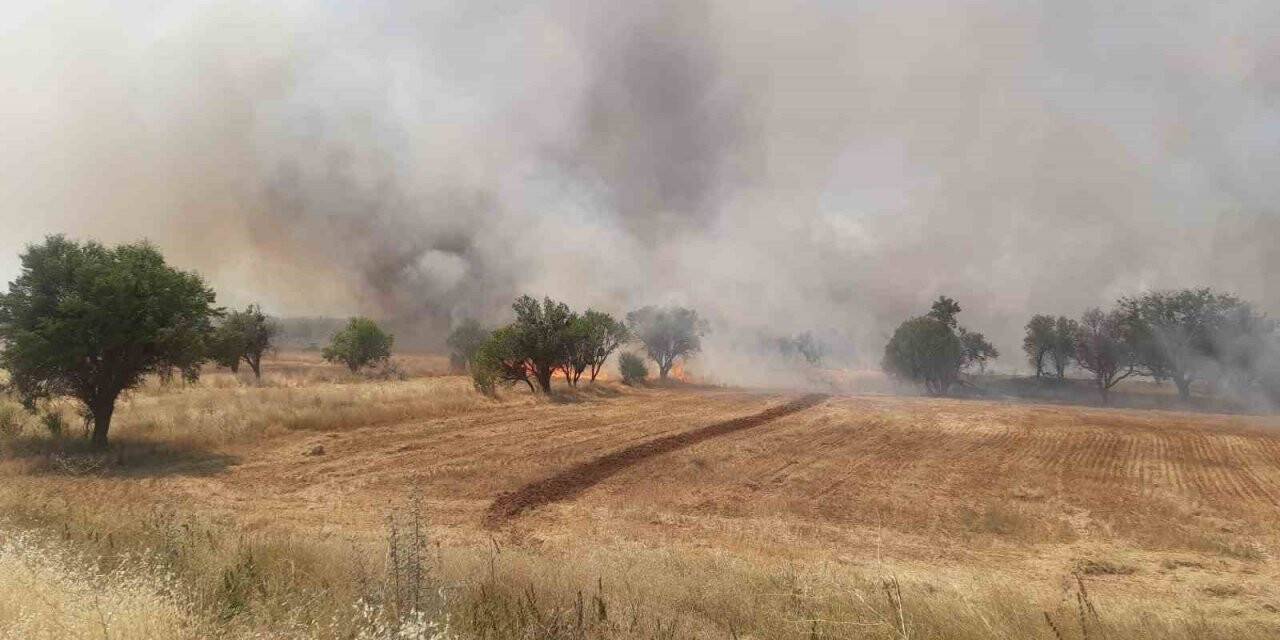 Konya’da arpa ekili tarladaki yangında badem ağaçları zarar gördü