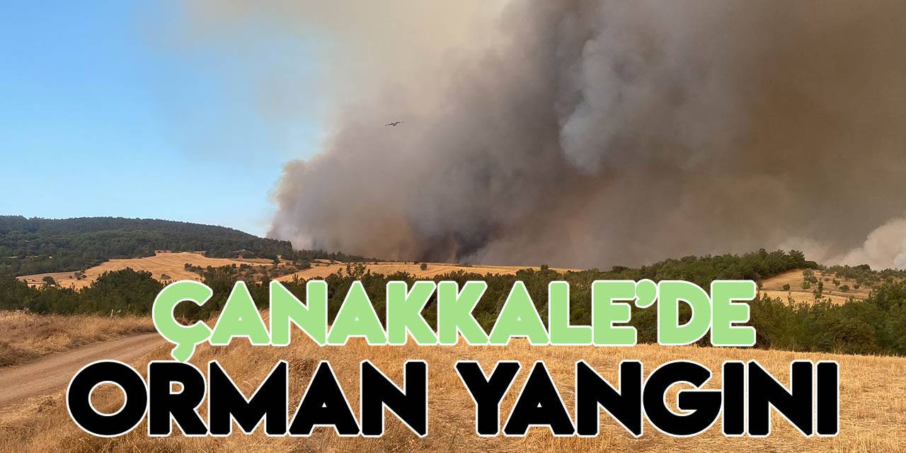Çanakkale’de orman yangını