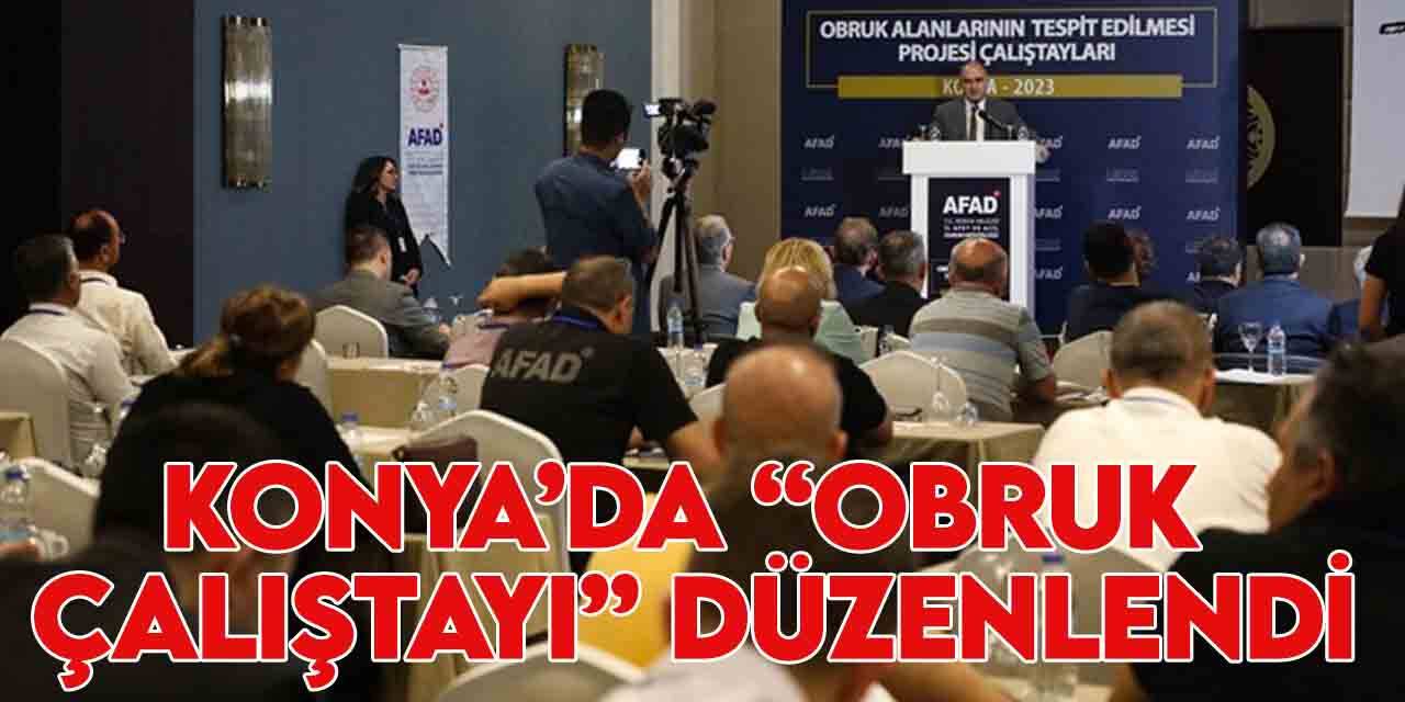 Konya'da "Obruk Alanlarının Tespit Edilmesi Projesi 4. Çalıştayı" düzenlendi