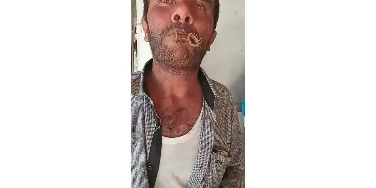 ‘Hayvan sevgisi’nin böylesi (TIKLA&İZLE)