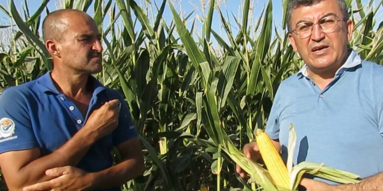 Ekici: Mısır fiyatı 8-9 bin liraya yükseltilmeli