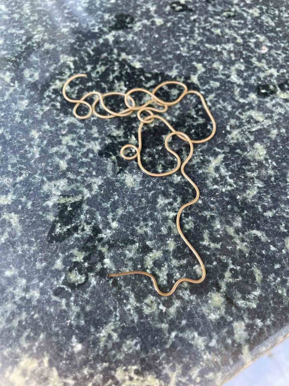 Köy çeşmesinde görülen ilginç canlı merak konusu oldu