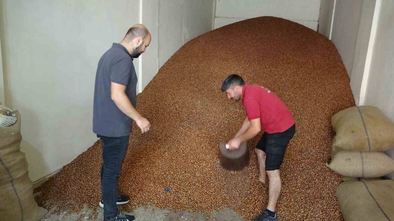 Fındık ihracatında 20 milyar doların üzerinde döviz girdisi