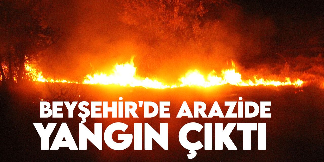 Beyşehir'de arazide anız yangını çıktı