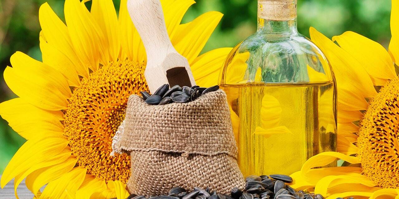 Verim düştü! Zam yolda