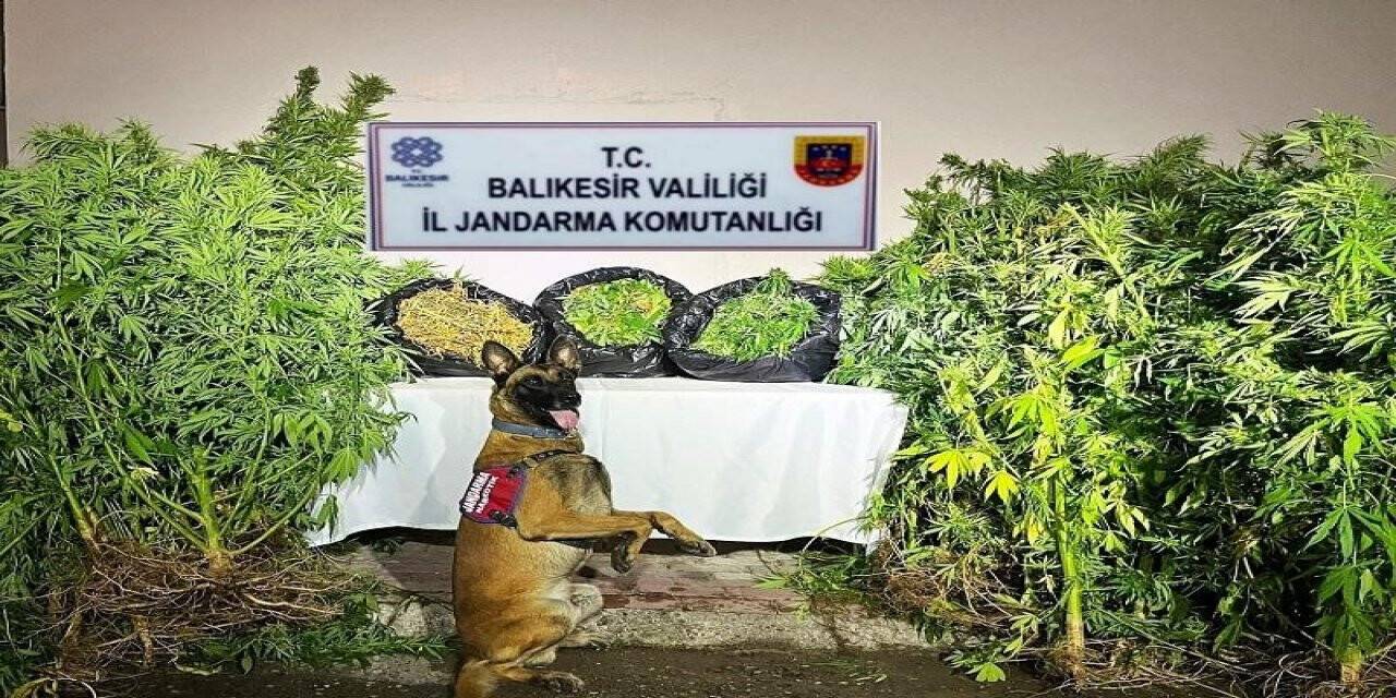 Balıkesir’de organize suç operasyonu: 36 gözaltı