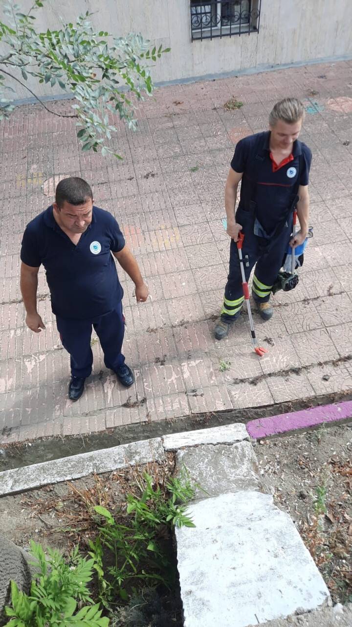 Okul bahçesinde yılan paniği