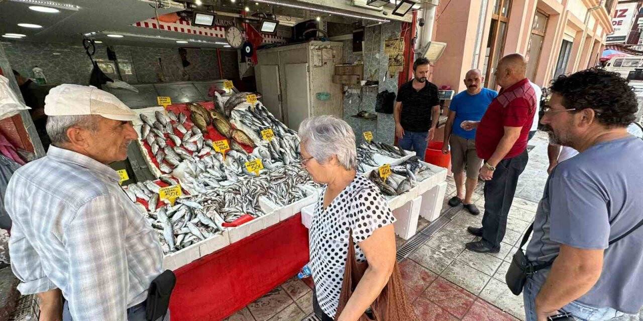 Sezonun ilk balıkları tezgahları süsledi