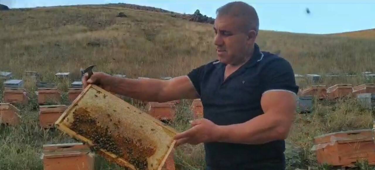 Karslı ‘arı adam’ sınırları zorlamayı sürdürüyor