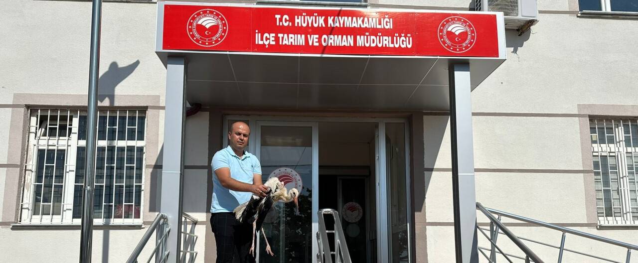 Hüyük Belediyesi yaralı buldu, tedaviye alındı