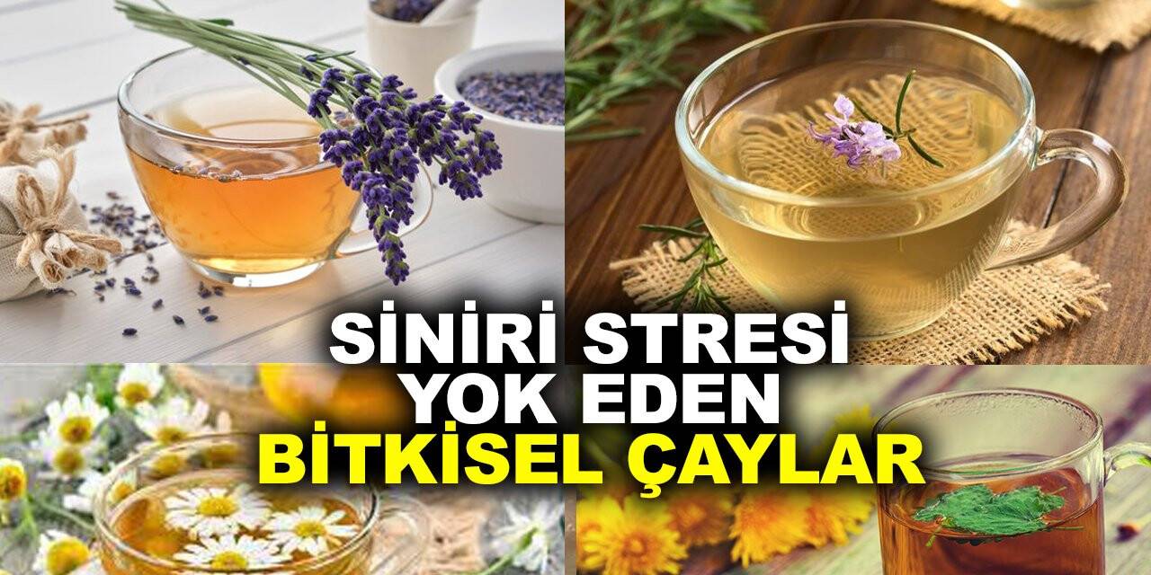 Bu çaylardan birini içenlerde sinir ve stres kalmıyor. Lokum gibi oluyorsunuz!!